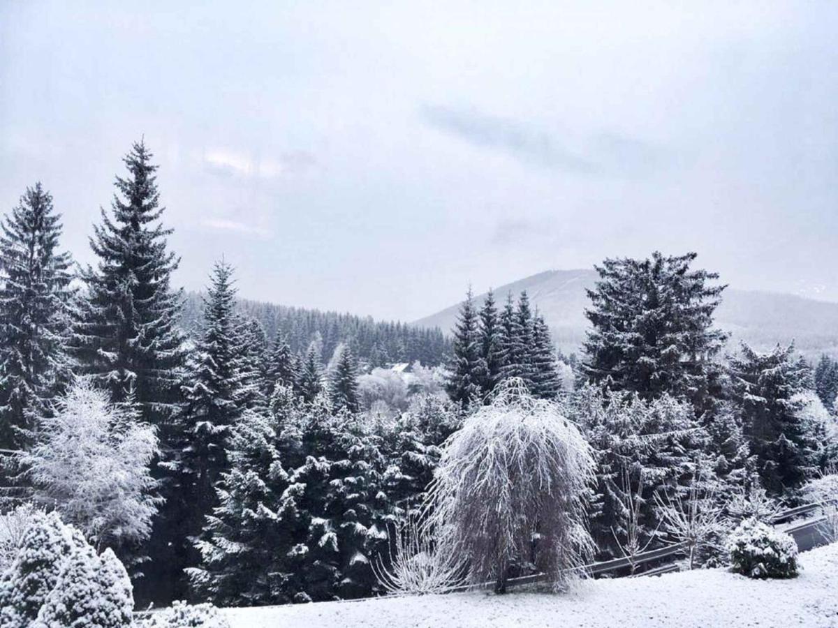 Apartments In Harrachov/Riesengebirge 2300 Ngoại thất bức ảnh